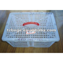 plastic case mould/plastic mould/plastic crate mould